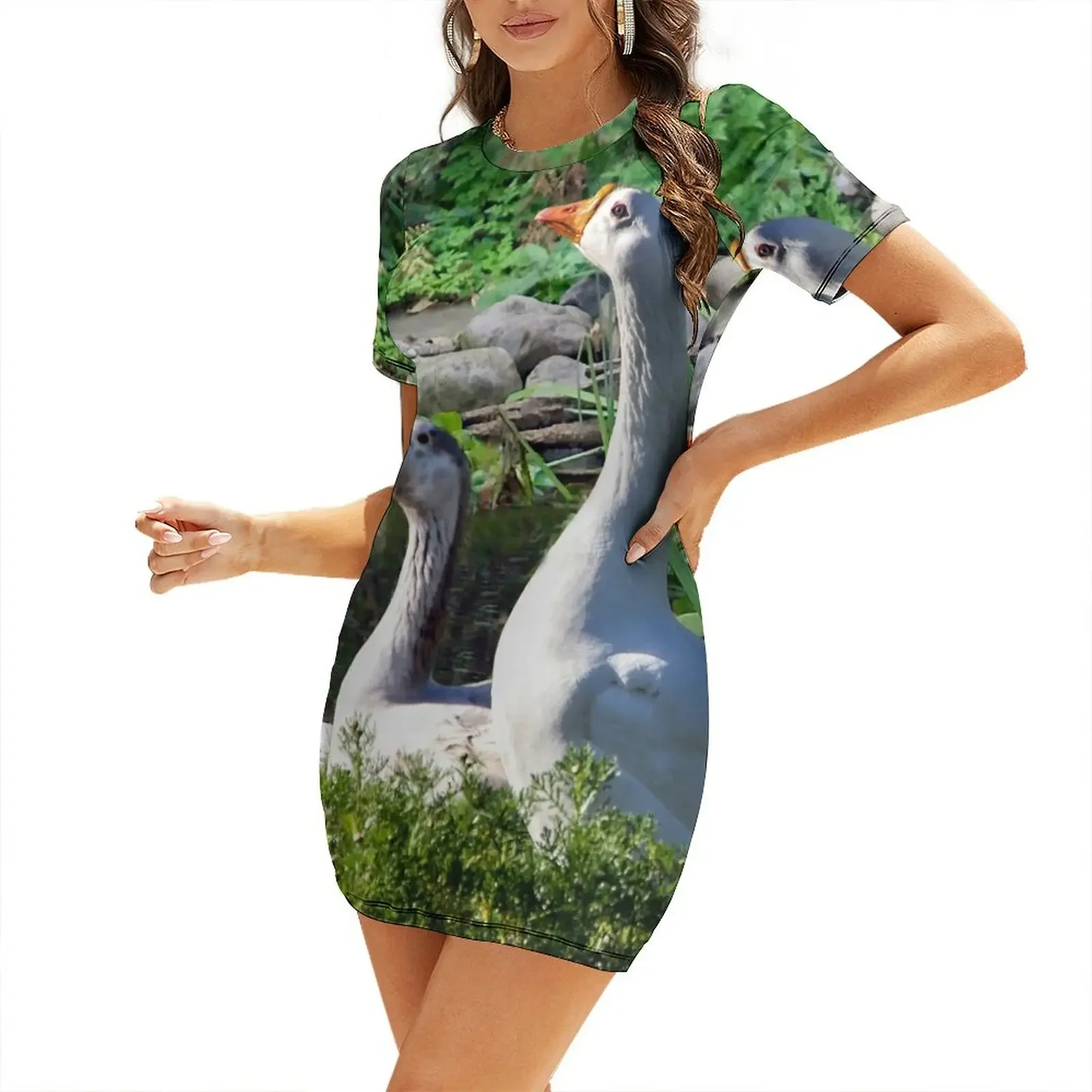 

What's That Over There Short-Sleeved Dress Dress woman women evening dress dresses for prom