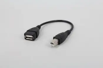 Câble USB 2.0 Type A vers USB B mâle, adaptateur d'extension pour imprimante, 50cm