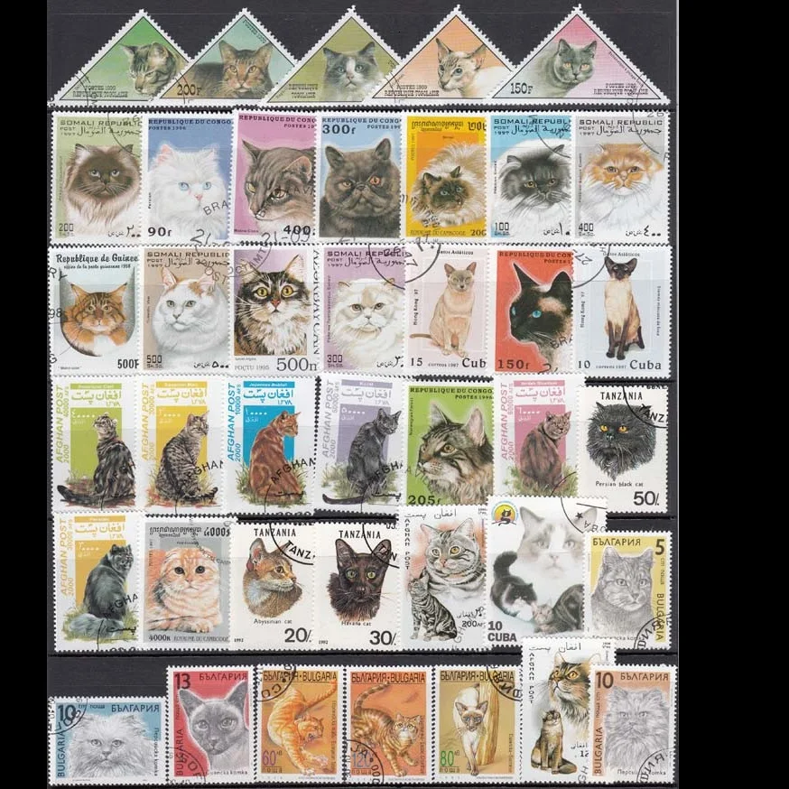 Collection Of 50 Different Cats Post Stamps Postage Stamps Stamp Set Stamps For Scrapbooking Stamps 50 cats Real Used Stempel