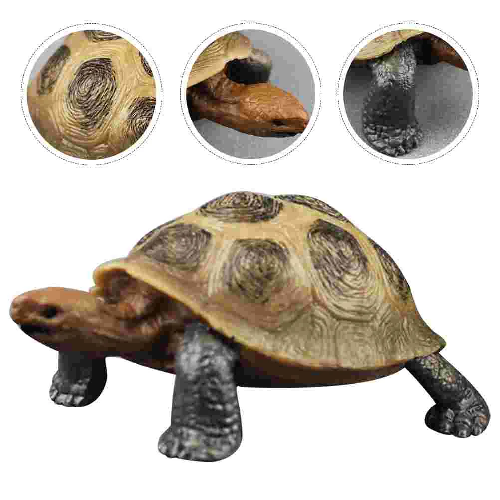 Jouet décoratif en PVC pour enfants, modèle de tortue de simulation, modèles d'animaux, figurAuckland, ornement, 2 pièces