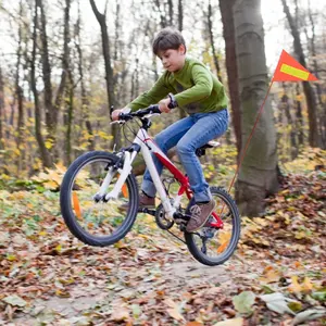 Fahrradsicherheit Dreiecksflagge mit Montagehalterung, Kinderfahrrad, Jungen, Mädchen, Radfahren, 2022 10 Hauptverkaufsflagge - №9
