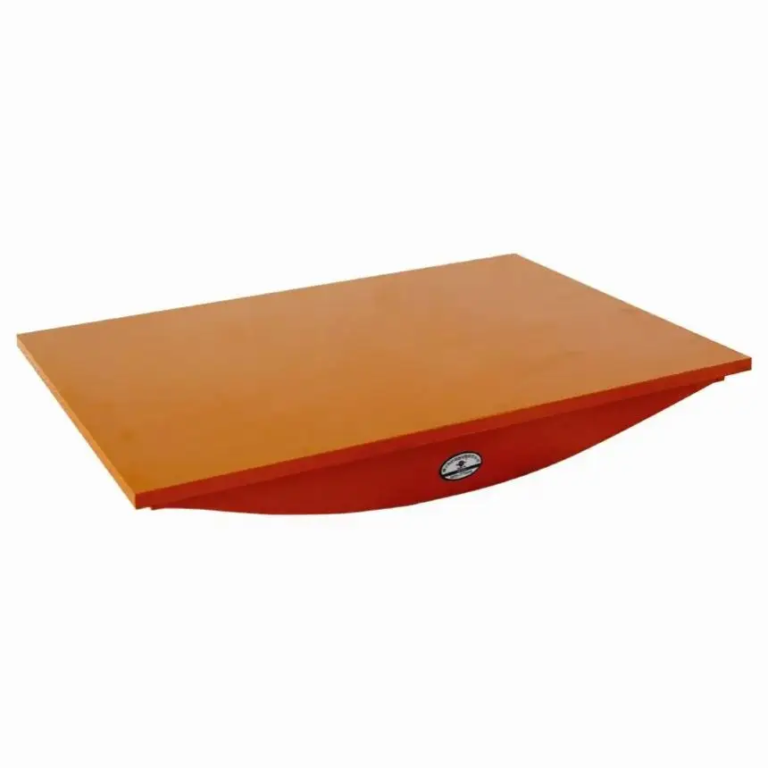

Rehabilitation Balance Training Device