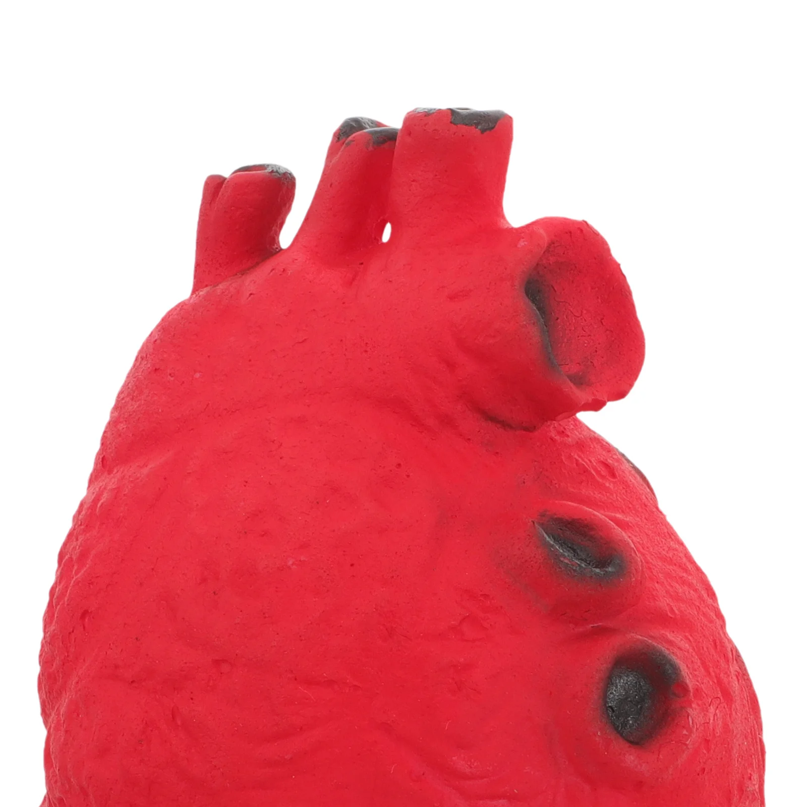 Spaventoso cuore di Halloween Prop Simulazione realistica Organo corporeo per festa in costume Maschera pasquale Festival Cortile Haunt Decor