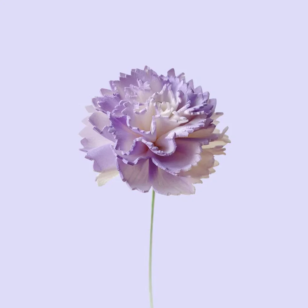 10PCS Roxo Cravo Flor Rattan Sticks Incansável Fragrâncias Reed Difusor Vara Diy Ornamentos Home Decor