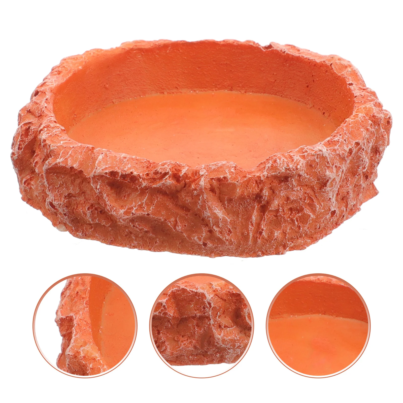 

Reptile Feeder Resin Feeding Bowl Stable Durable Water Food Dish for Lizard Tortoise Pet Supplies Reptile Food Bowl