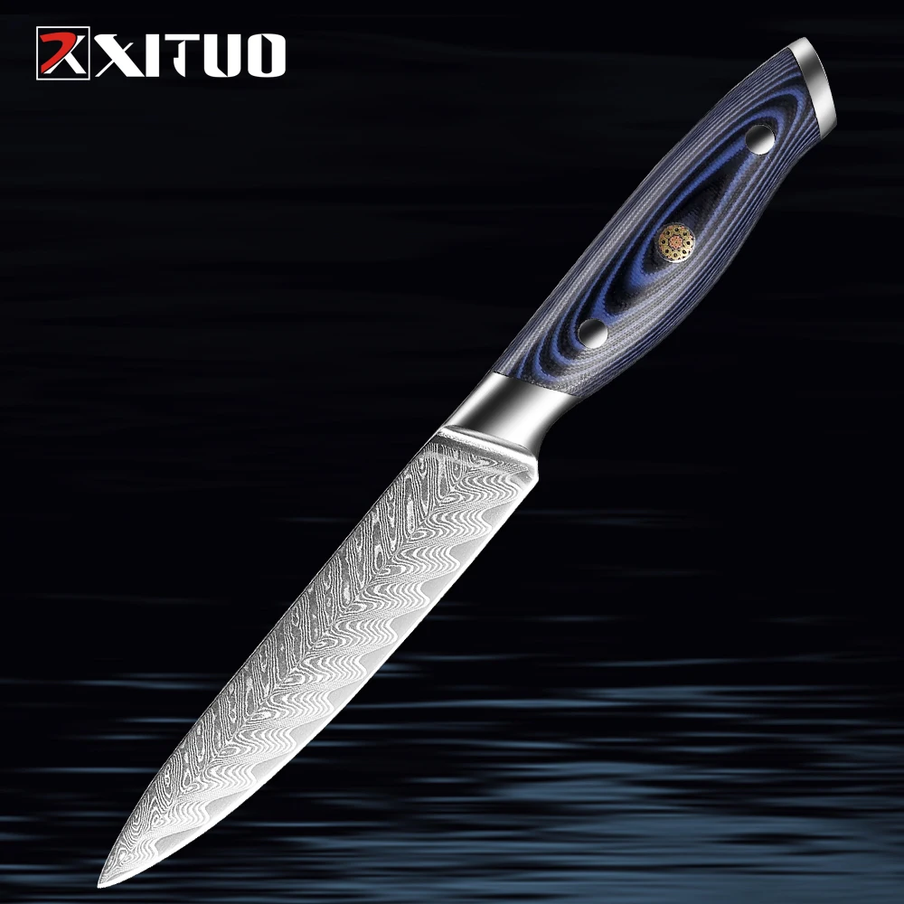 XITUO Damascus Utility Knife 5 Inch Professional Super Damascus Steel Kitchen Knives family Fruit Paring Knife Blue G10 Handle