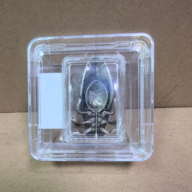 Colección variada Vintage de estilo antiguo, caja de cigarra plateada de cobre puro, pieza de exhibición graduada, colección antigua