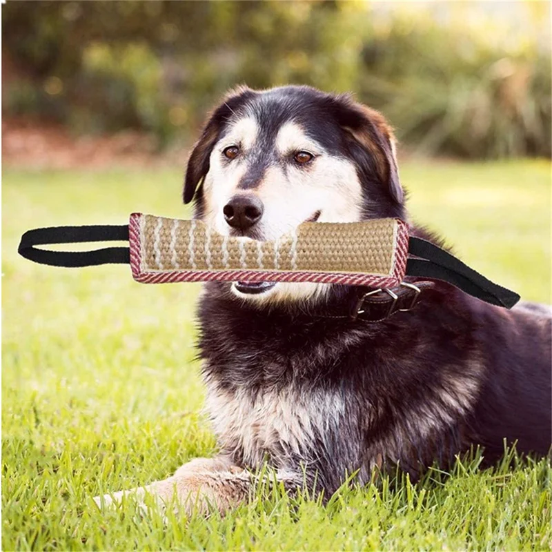 Durable Dog Training Tug Toy Dog Bite Stick Pillow Puppy Toy With Rope Handles Large Dog Training Interactive Play Chewing Toys