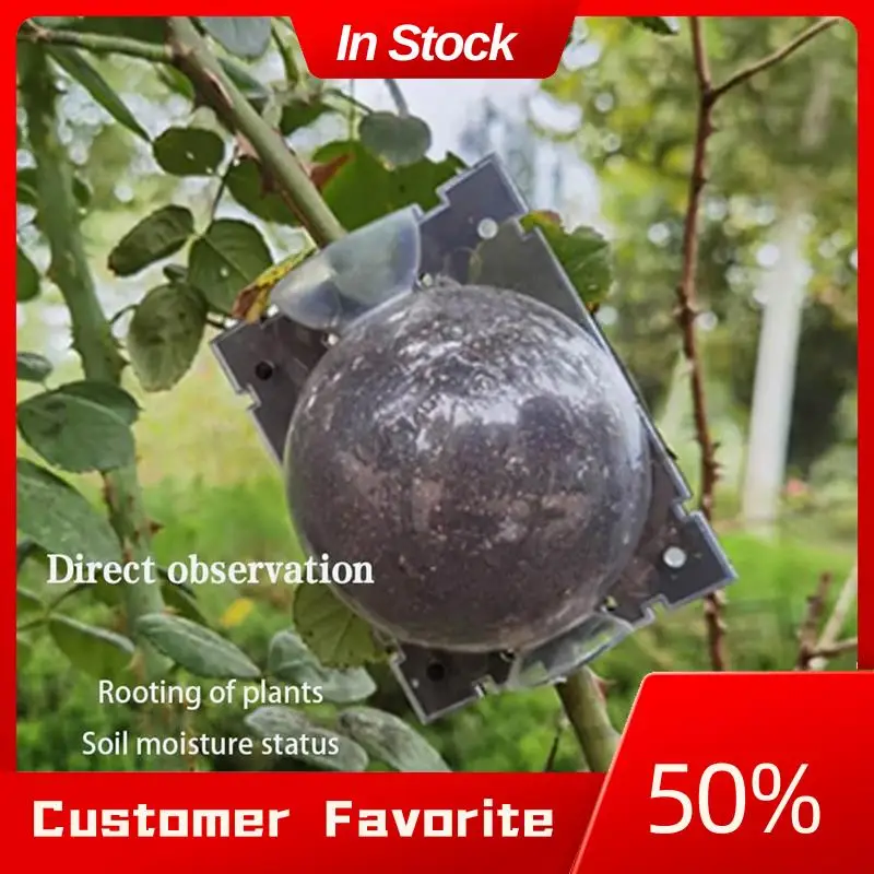 10 Packs Medium Size Plant Rooting Grow Propagation Ball, Still Air Box, Reusable Half Transparent Grafting Device Replacement