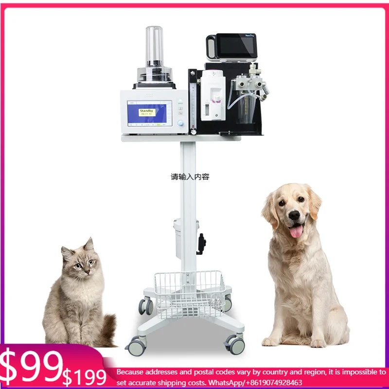 OliveVet Veterinary Anesthesia Machine VET-VT Precise Ventilation Control For Veterinary Surgeries In Clinical