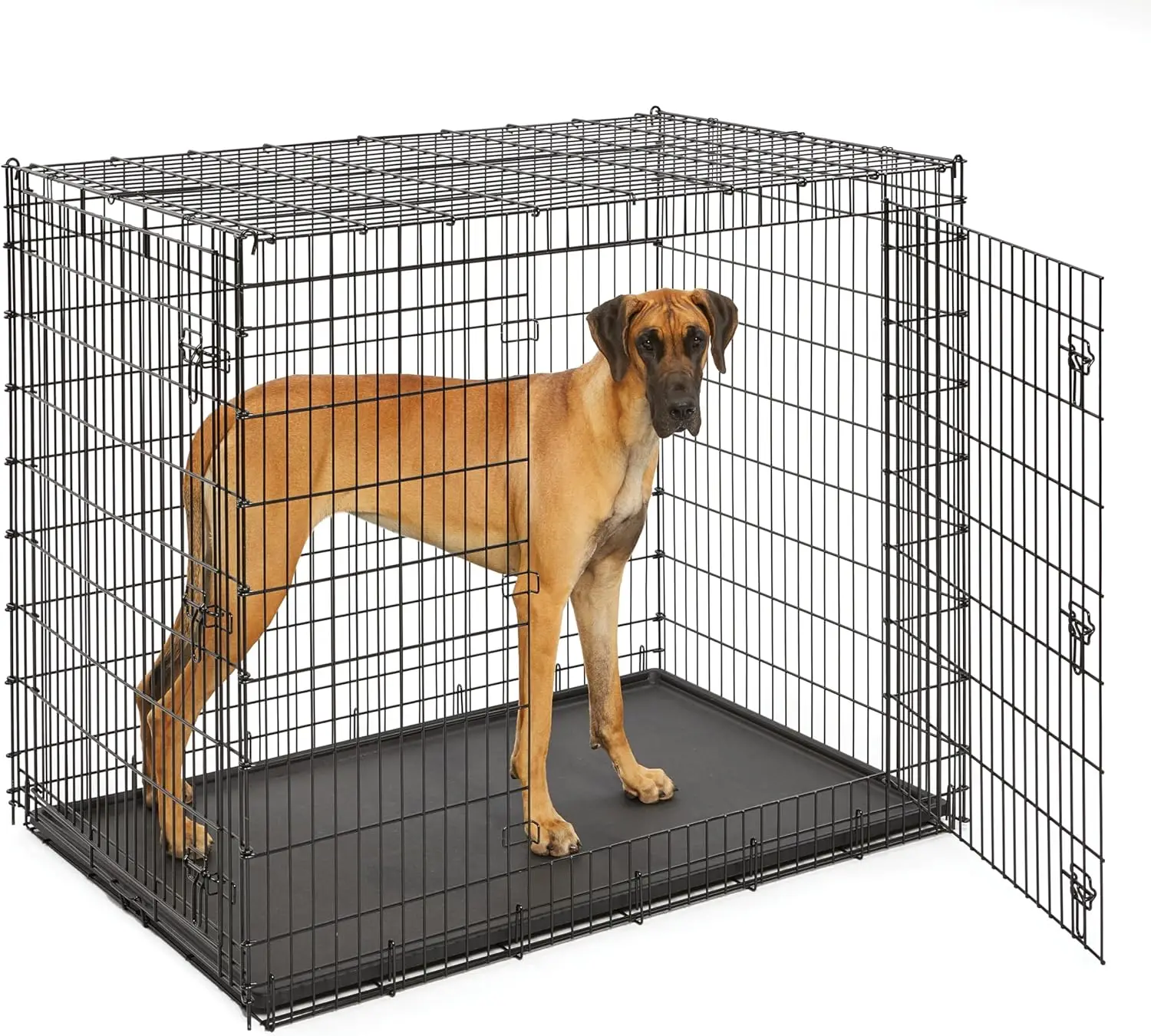 Ginormous Double Door 54-Inch Dog Crate for XXL Dogs Breeds; Great Dane, Mastiff, St. Bernard, Drop Pin Assembly Requires