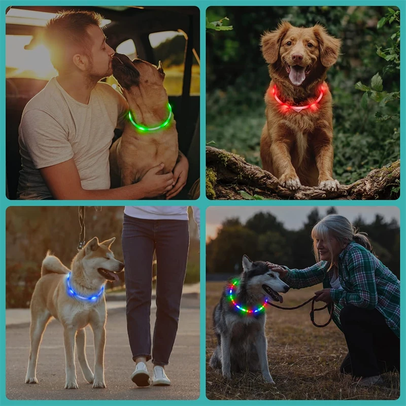 4 Modes Dog Luminou Charge Collar Led Usb Cat Silicone Colorful Collars Cuttable Night Glow Pet Loss Prevention Dogs Accessories