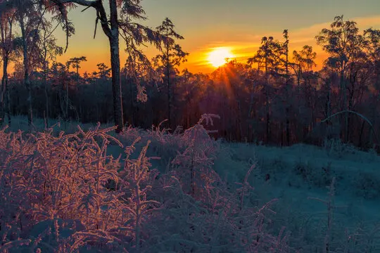 

Aluminum Alloy Oil Shocks Dampers for Tamiya CW-01 Chassis Lunch Box Midnight Pumpkin Unimog 406 Upgrade Parts
