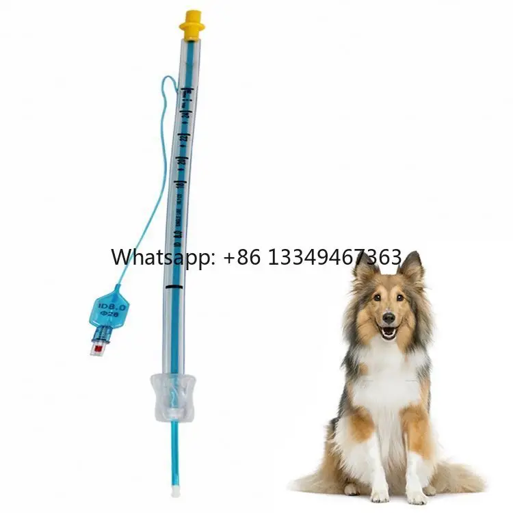 Artificial Intrauterine Insemination Catheter for Veterinary Use in Mammals-Hospital & Surgical Application