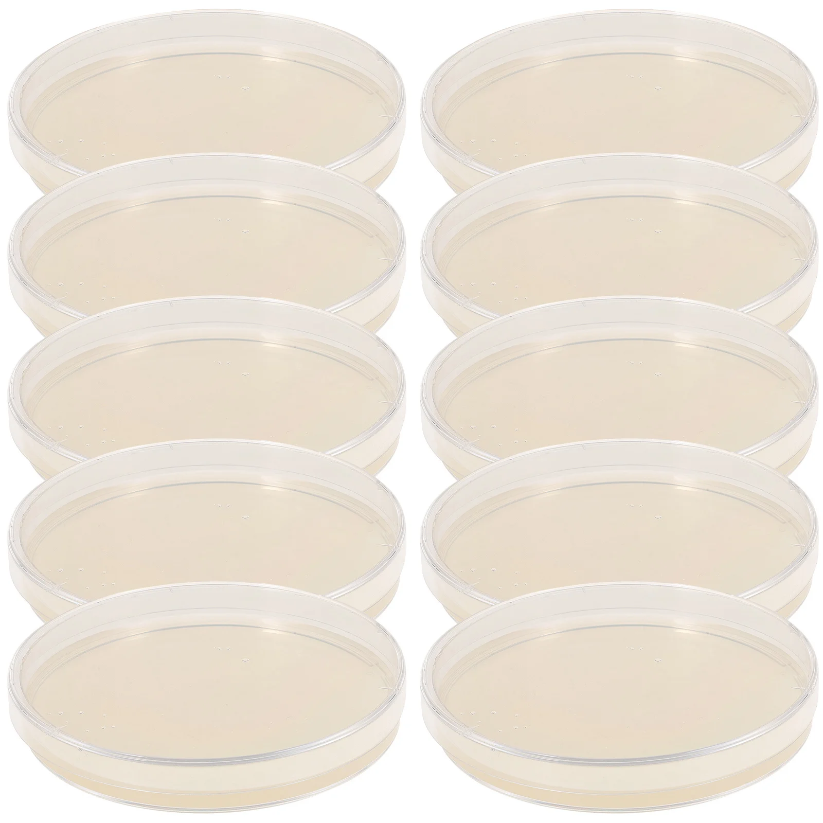 

10 Pcs Nutrient Agar Plate Plates Petri Double Dish Culture Mycology for Dishes