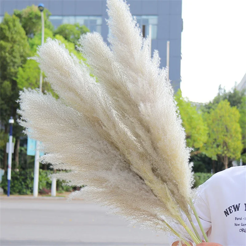 Wholesale 12Pcs Fluffy Large Pampas Grass Home Decor Natural Dried Flower Decorative Wedding Centerpiece Boho Pampas Grass Decor