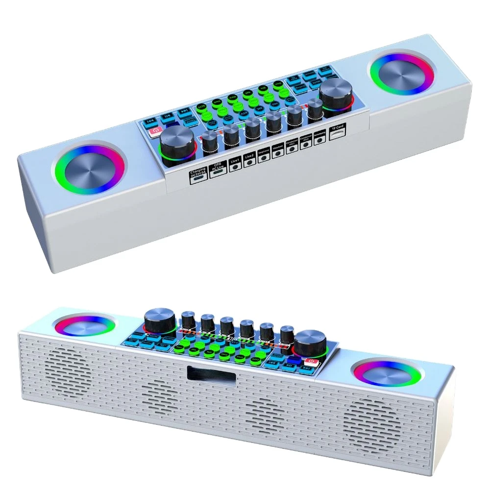 Professional Wireless Speaker Sound Cards with 2 Microphones For Family  Singing Party