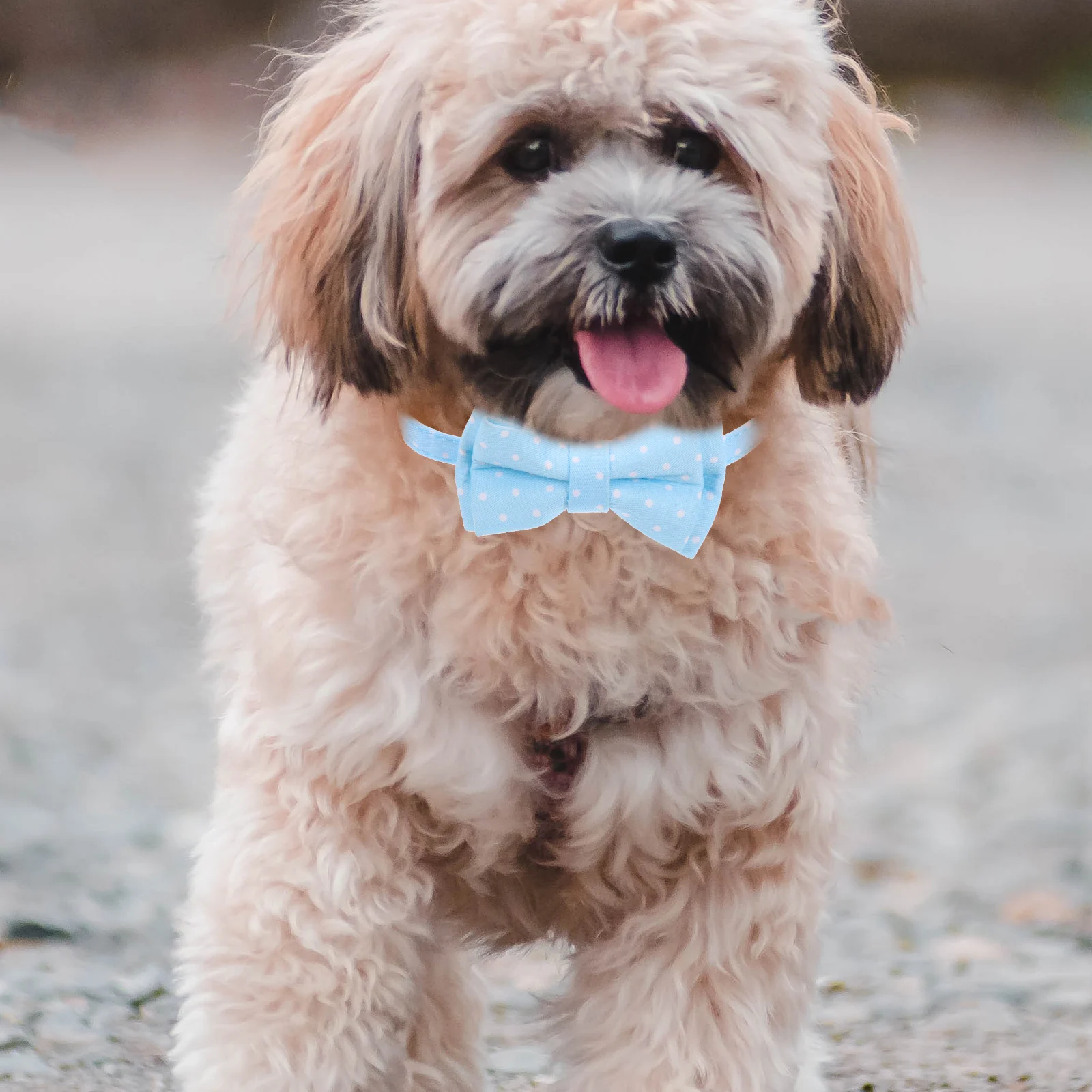 

Bow Tie Pet Collar Adjustable For Cats Small Medium Large Dogs Christmas Party Decorative Accessory Dog Collar Bow Tie