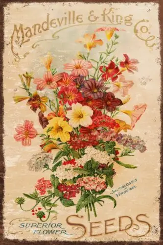 Pretty Floral Seed Catalogue Vintage Gardening Advert, Aged Look New Metal Sign