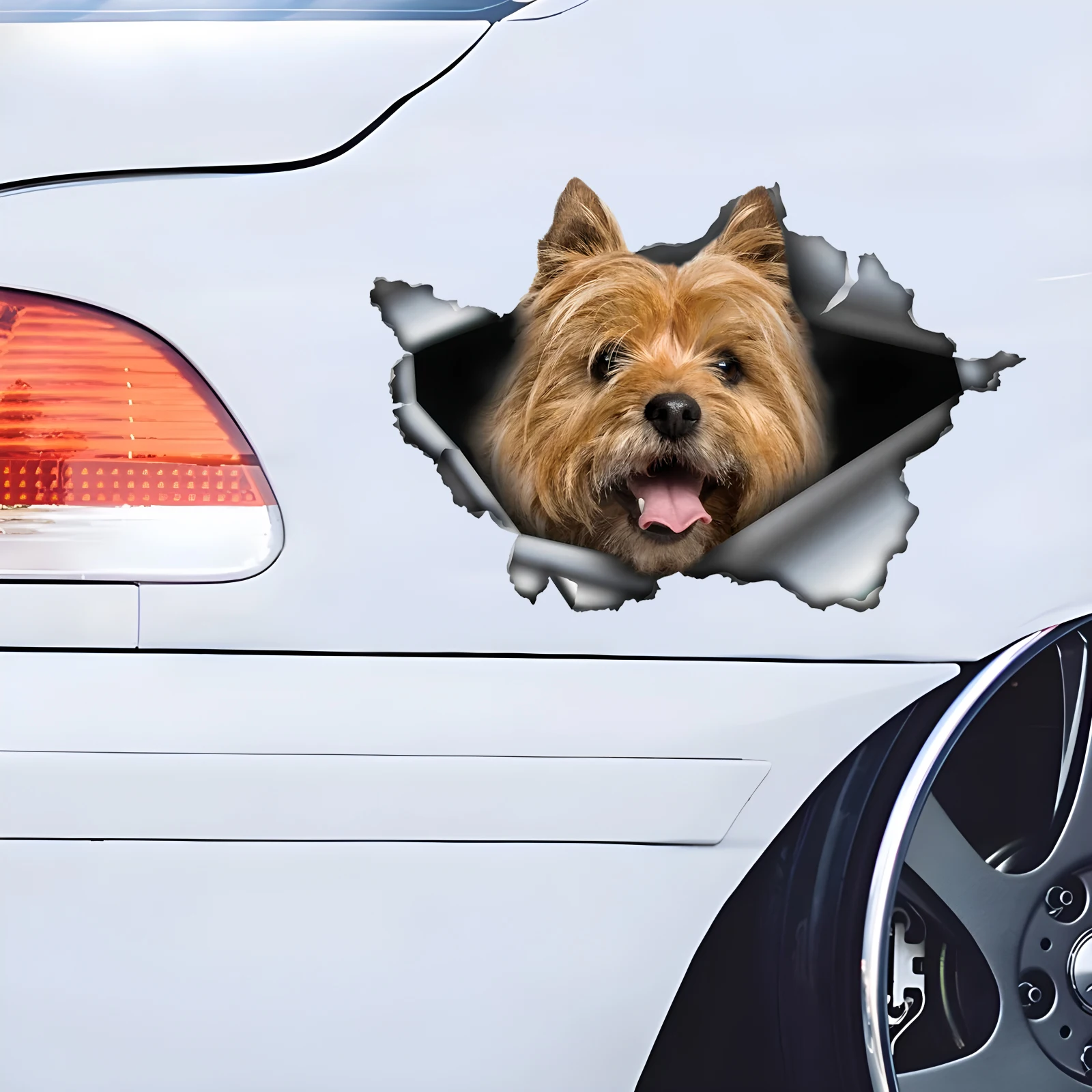 

DK538# Cairn Terrier Car Stickers, Weather-Resistant Vinyl Stickers for Windows, Bumper Crafts - PVC Material Vehicle Decals