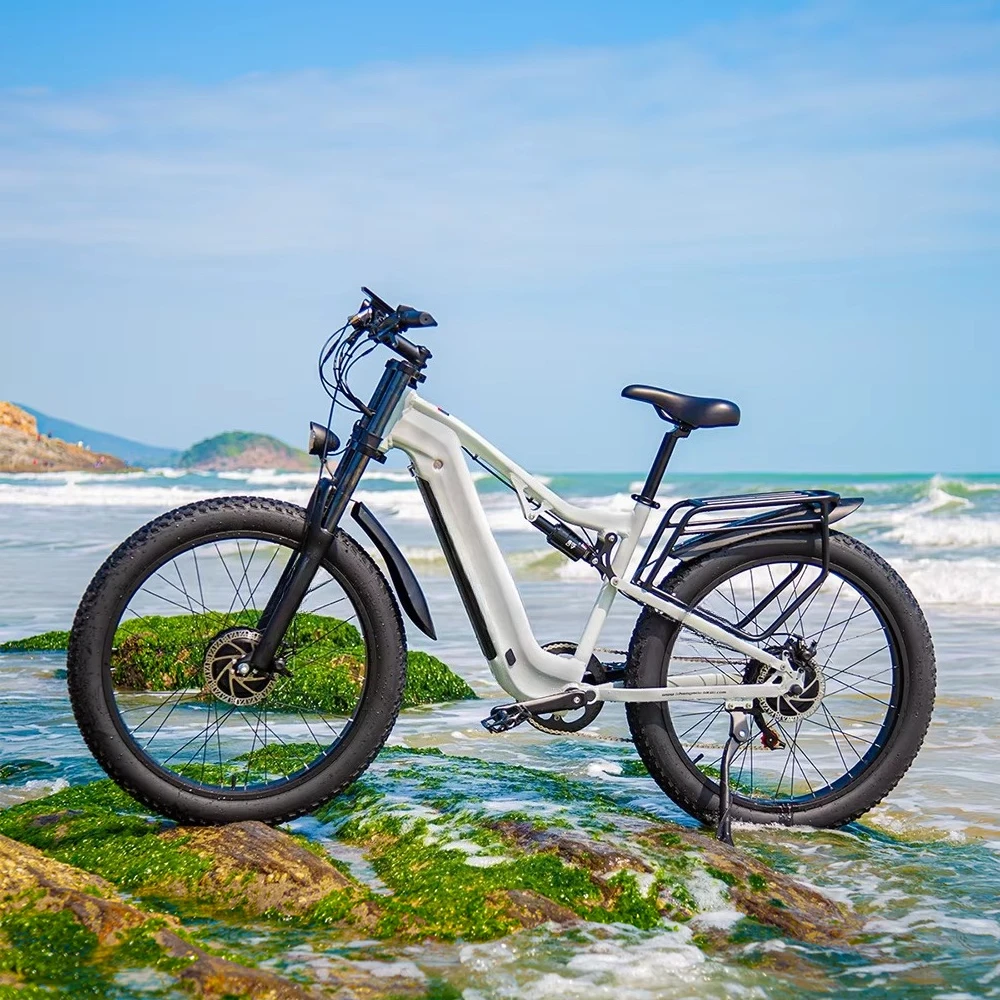 Bicicletta da montagna Doppio motore 2000w 3.0 Fat Tire Mountain E-Bike per adulti