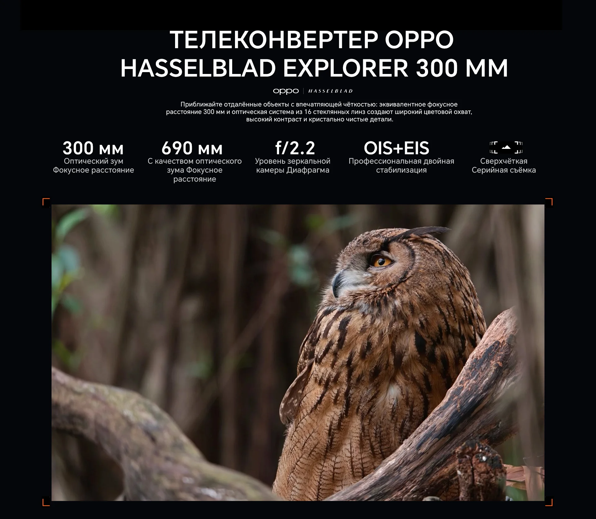 Chinese Version OPPO Find X9 Ultra 5G Smartphone Snapdragon 8 Elite Gen 5 6.82" 144Hz AMOLED Screen 7050mAh Dual 200MP Camera