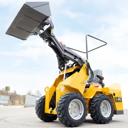 Mini Skid Stuur Loader Epa Motor Wiel Track Een Jaar Na Verkoop Service Multifunctionele Crawler Aangepaste Skid Stuur Loader