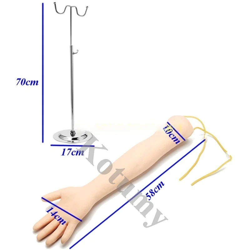 Complete Set Arm Vein Puncture Training Model Intravenous Infusion Injection Model Phlebotomy And Venipuncture Practic