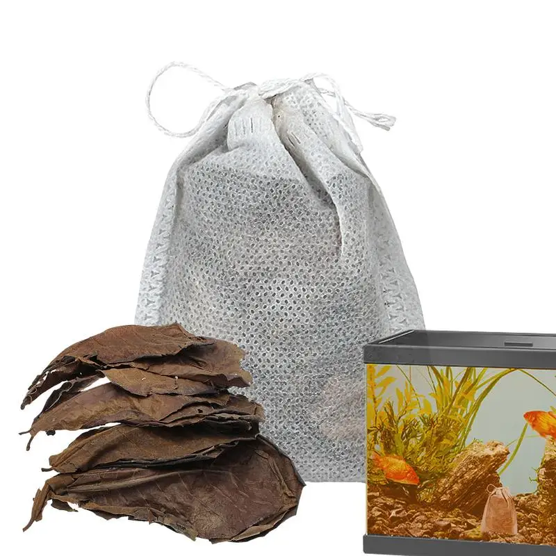 Fish Tank Almond Leaves Water Conditioner Leaves Beta Fish Catappa Leaves Creats Rainforest Environment Lowers Your Tank\'s P.H.