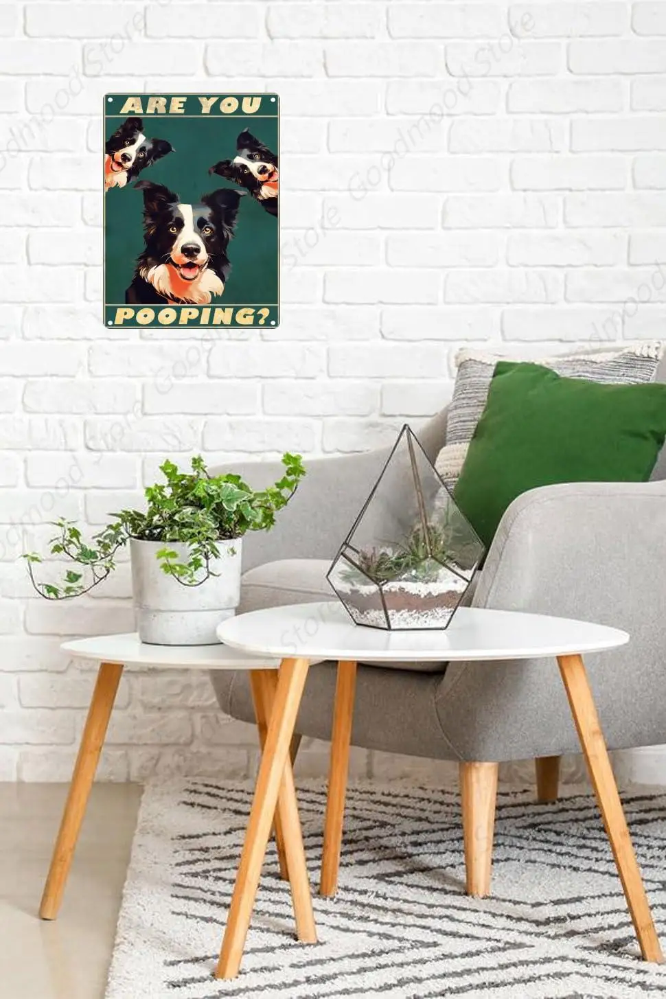 Metal Sign Border Collie Are You Pooping Sign Vintage Funny Sign Retro Aluminum Tin Signs for Home Farm Garden Bar Bathroom