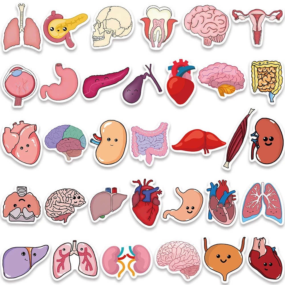 65PCS Cartoon Human Organ Cute Medical Anatomy Stickers Decals for Water Bottle Laptop Skateboard Scrapbook Luggage Kids Toy