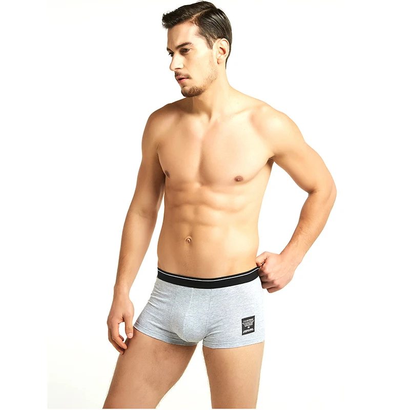 Youpin 4pcs/Lot Underwear Men Boxer Shorts Gay Print Cotton Panties Male Intimate Breathable Soft Men's Underpants Sexy Boxers