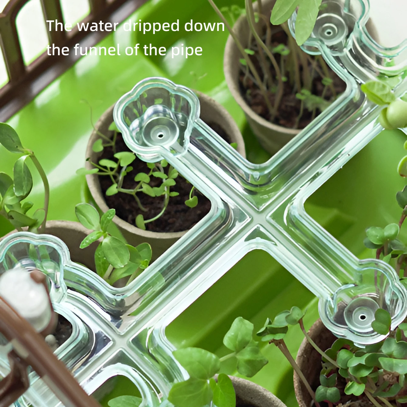 DIY science experiments for children and students: Growing vegetables, potted plants, observing plant growth, and planting toys