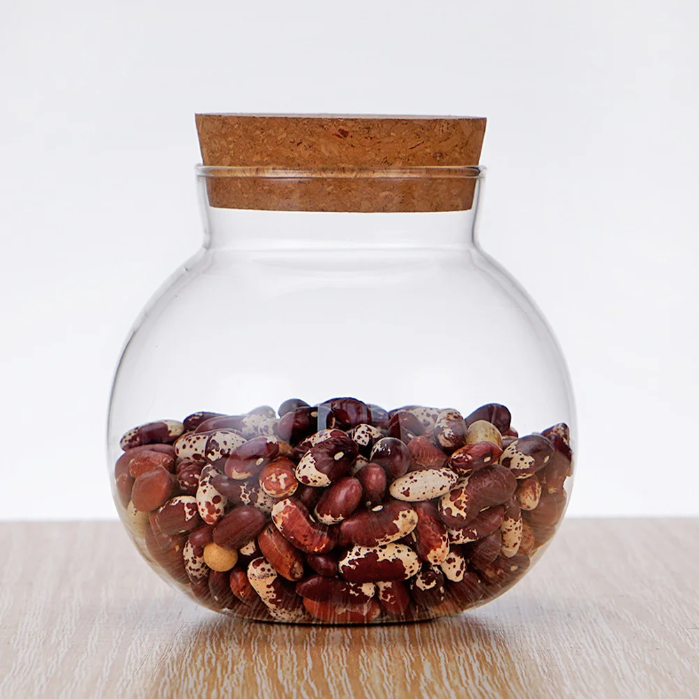 

Glass Storage Jar Wood Lid Airtight Food Storage Canister Clear Glass Bottle for Coffee Tea Spice Snack Kitchen Container