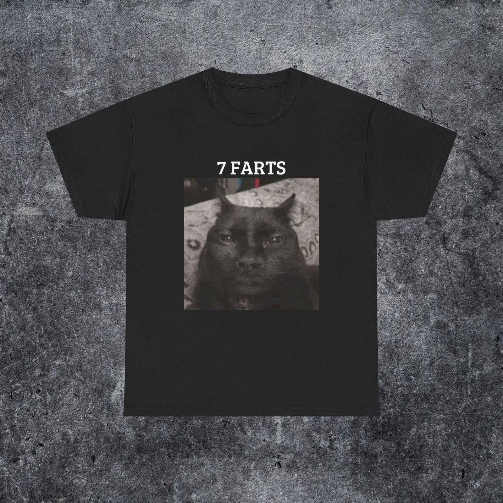 7 farts CaT T Shirt Funny Meme Vintage Unhinged Silly Weird Humor  vintage Washed Stylish fashion Slightly Casual streetwear
