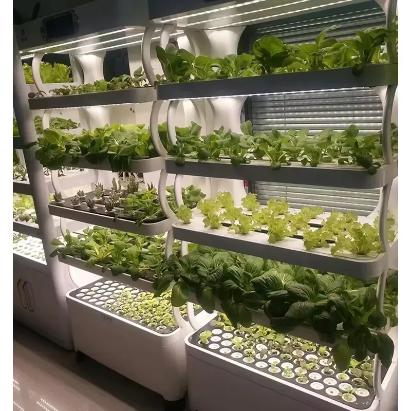 YWM Certificate Smart Hydroponic Family Indoor Hydroponic Growing System LED Grow Light Planting Cabinet for Lettuce/
