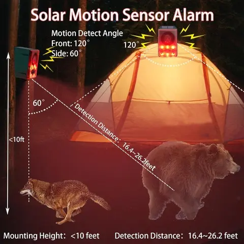 6 best sales solhund - №3