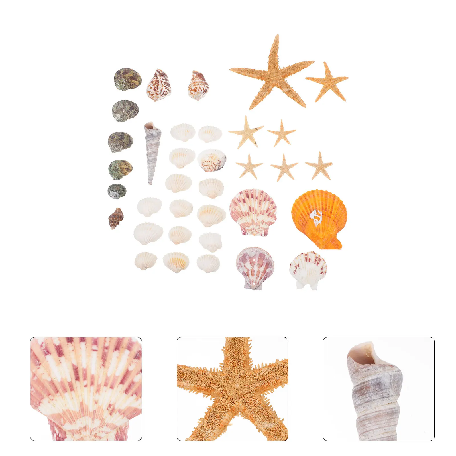 

4 Bags Mini Shell DIY Pendant Making Accessories Hair Rope Delicate Imitation Shell Charms Ocean Style Decor DIY Handicraft