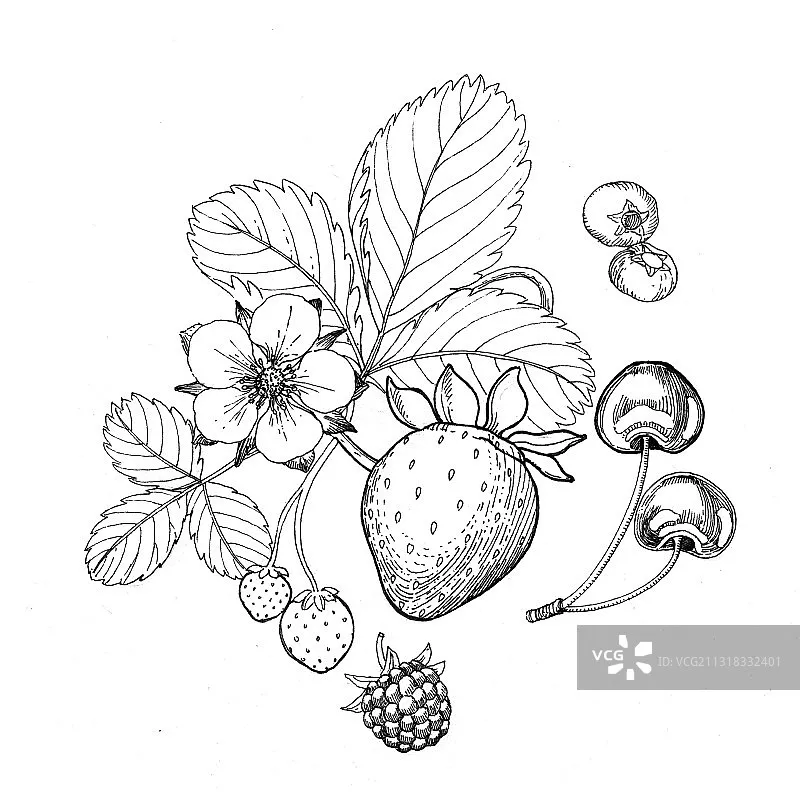 

Skydroid Camera C01 Waterproof Drone 4K 30FPS Stabilize EIS Ultra Wide Angle Camera -90°~16° Rotation,70g Light Weight Design RC