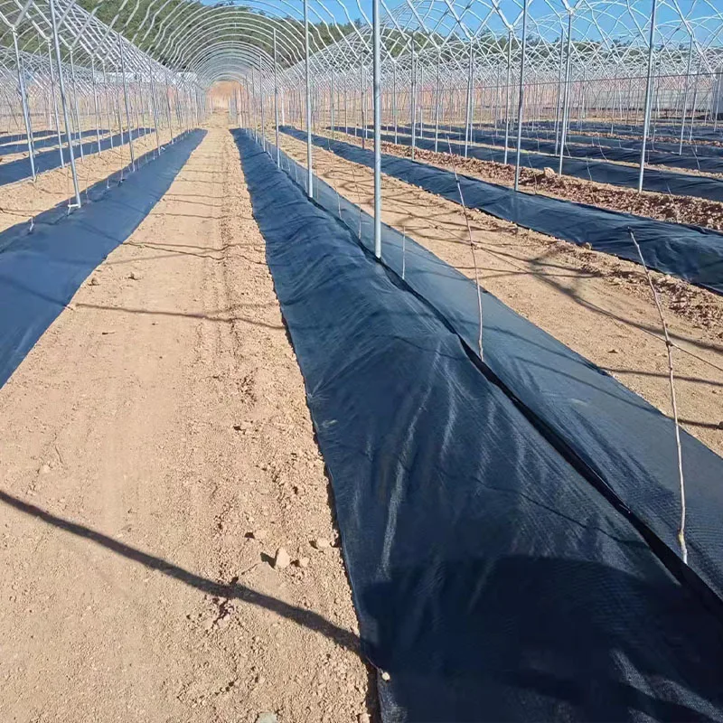 2025ทอผ้าควบคุมวัชพืชกระดาษคลุมพลาสติกการเกษตรหรือสวน