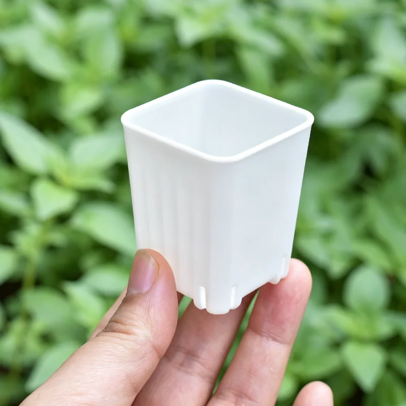50-100Pcs 4cm Mini Thicken White/Transparent Square Flower Pot For Seedling Cultivation Breathable Succulent Plant Pot Seed Tray view 2