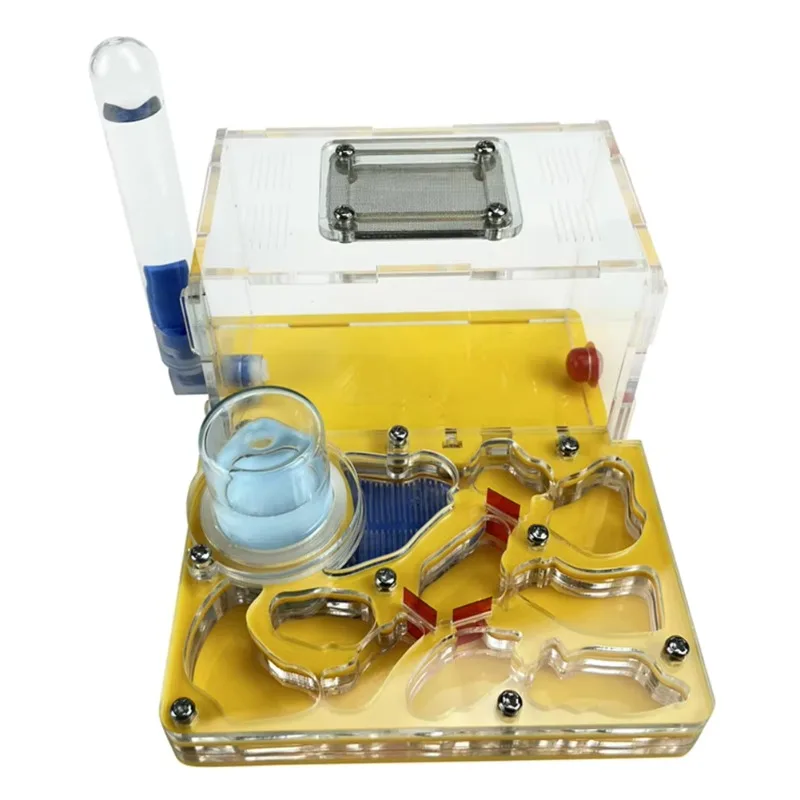 

DIY Acryl Ant Farm Flat Ant Nest Ant House for Pet Anthill Glass Moisturizing Water Tower Workshop Feeding Area 12*15*7.5cm