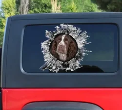 Adesivo, adesivo per finestra Spaniel Springer inglese, adesivo per auto, decalcomania per auto, decalcomania divertente