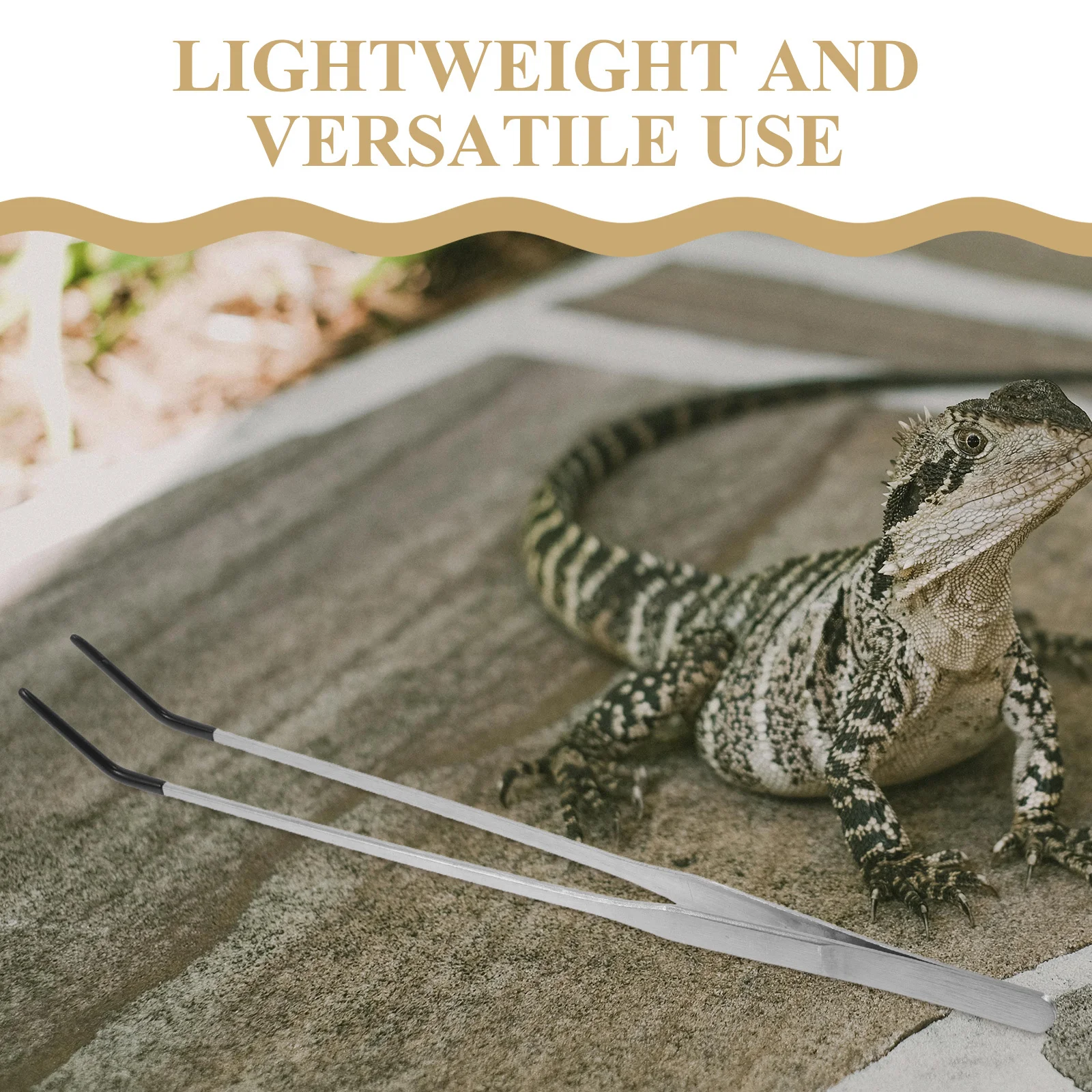 2 قطعة ملقط تغذية الزواحف من الفولاذ المقاوم للصدأ تصميم دقيق ملاقط منحنية مستقيمة لحوض السمك السحالي Geckos #2