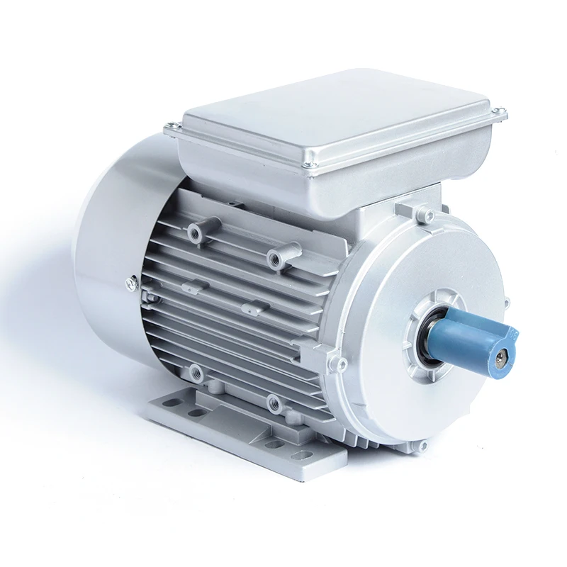 

Single Phase YL6312 0.18KW 2800rpm Ac Motors 220V 50Hz Electric Motor B3 Single-phase Ac Induction 2 Pole Motor
