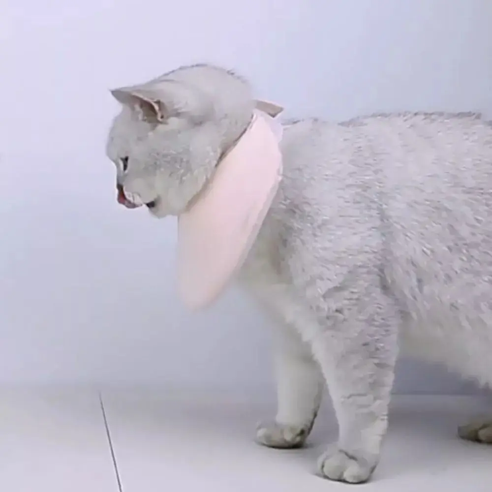 New Double Sided Cat Recovery Collar Cone Adjustable Soft Cat Protective Neck Cotton for Dog Cat Dog Saliva Towel