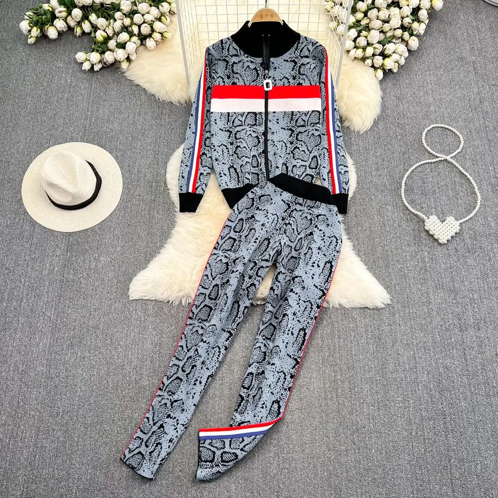 Women Leopard Print Y2K Pant Suit Sweater Tops And Pants Two Piece Set Outfit Knitted Autumn Winter High Street Fashion Clothes