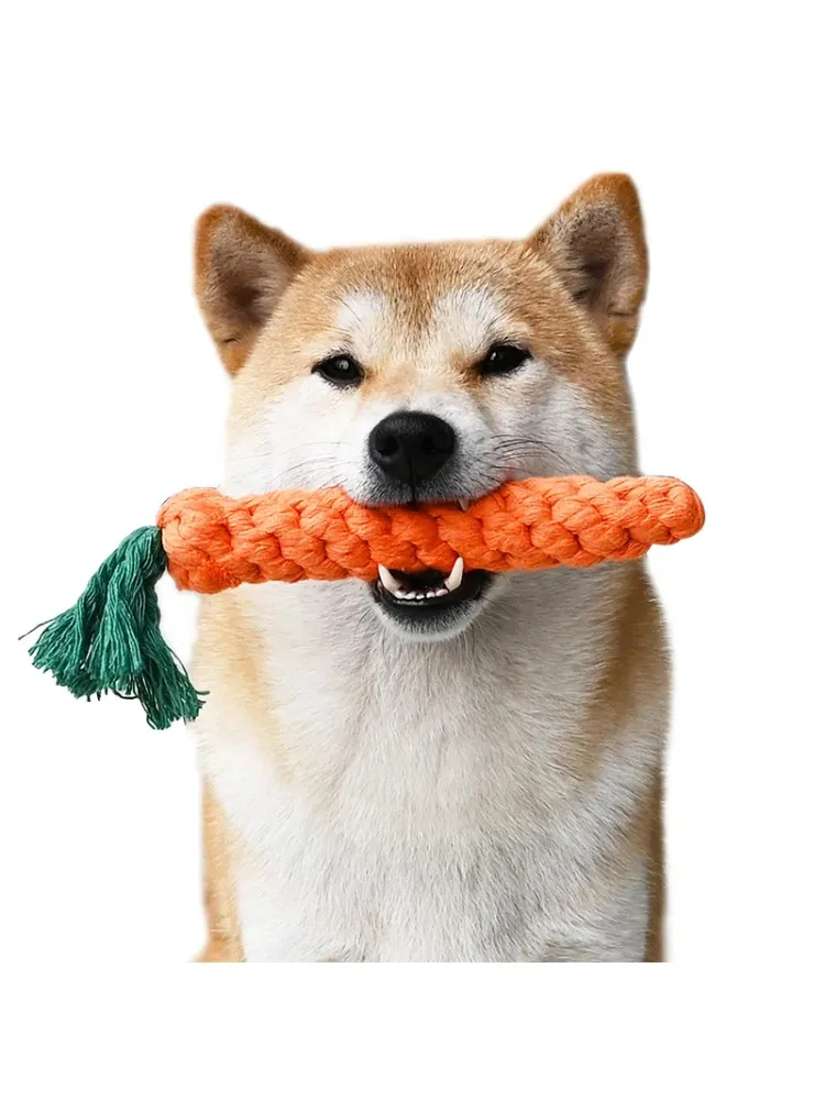 1/2/3 pièces carotte chien morsure corde chien jouets sûr Durable morsure chien mâcher jouets résistant chiot molaire nettoyage dents coton corde