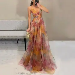 Prom Long Dress Elegant Mesh Printed Evening Dress with Spaghetti Straps Pleated A-line Silhouette Women's Floor for Special