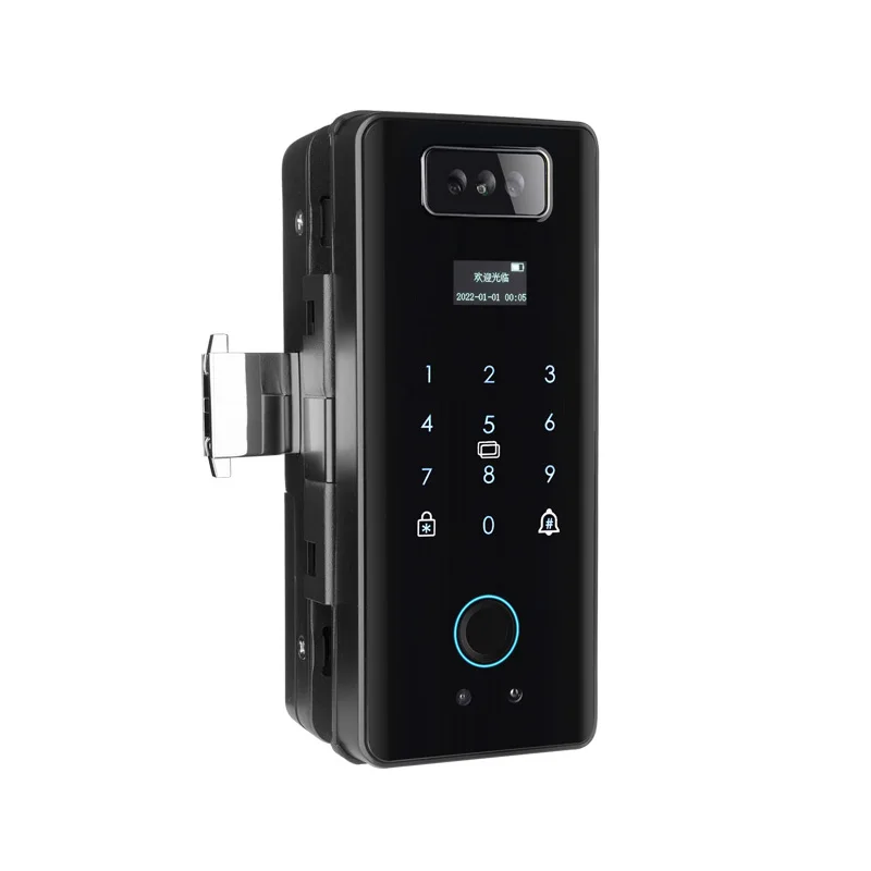 Home Electronic Smart Face Lock Digital Biometric Fingerprint Door Lock Smart Lock for Glass Door